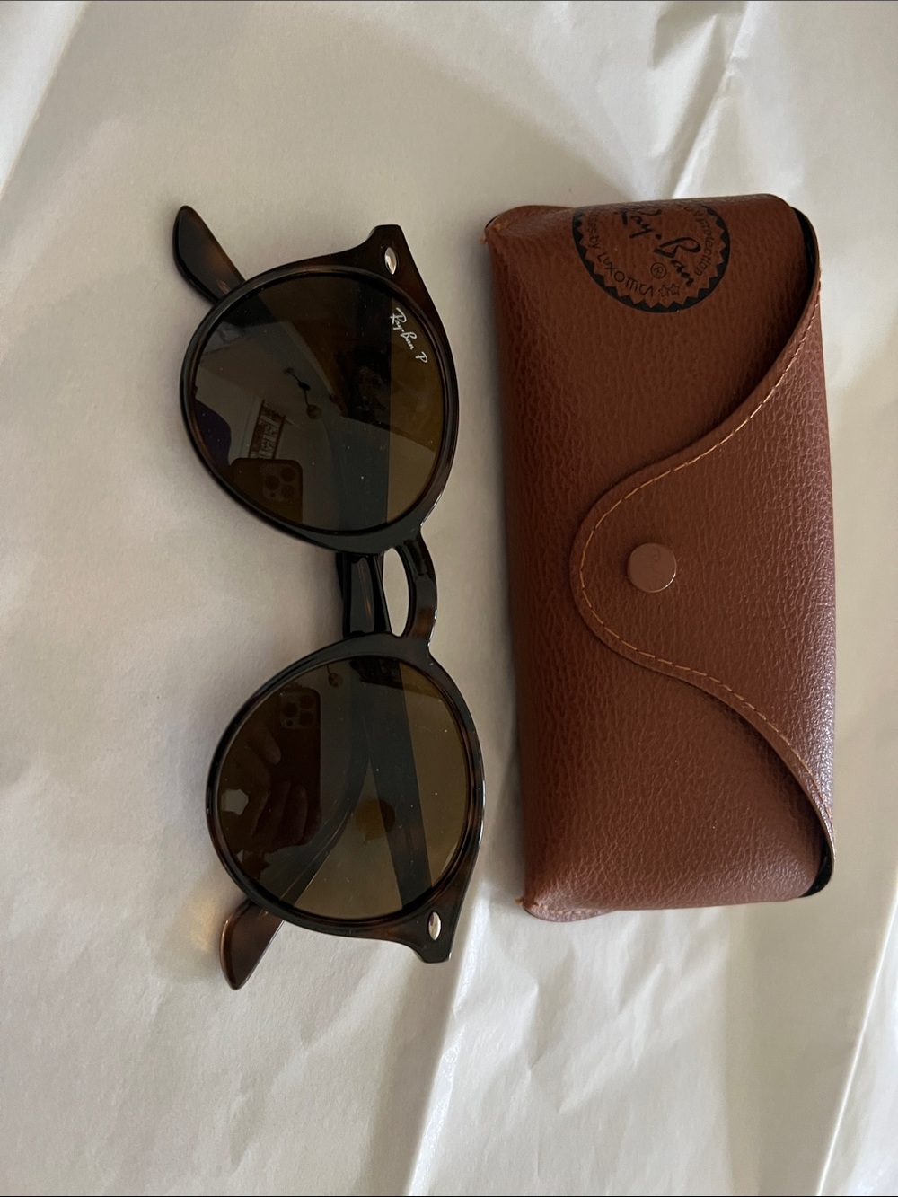 Ray-Ban Black Frame Sunglasses with Brown Lenses and Brown Case